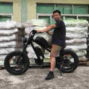 1500-W-Elektrofahrrad Hersteller