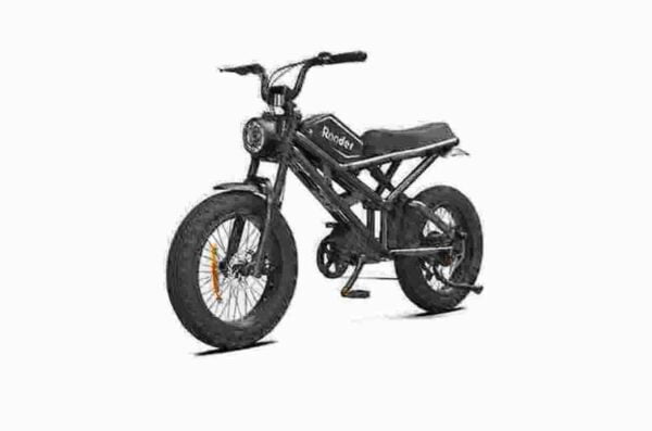 Elektrofahrrad für 2 Personen Hersteller