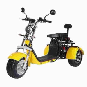 2024 Citycoco Chopper Scooter Hersteller