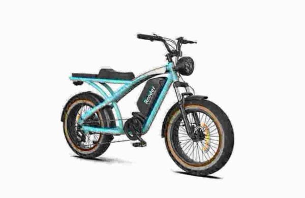 24 Fat Tire E-Bike Hersteller