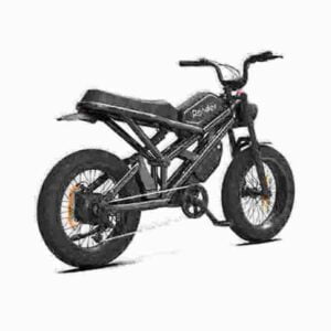 3-Rad-E-Bike Hersteller