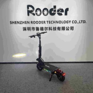 4-Rad-Elektroroller für Erwachsene Hersteller