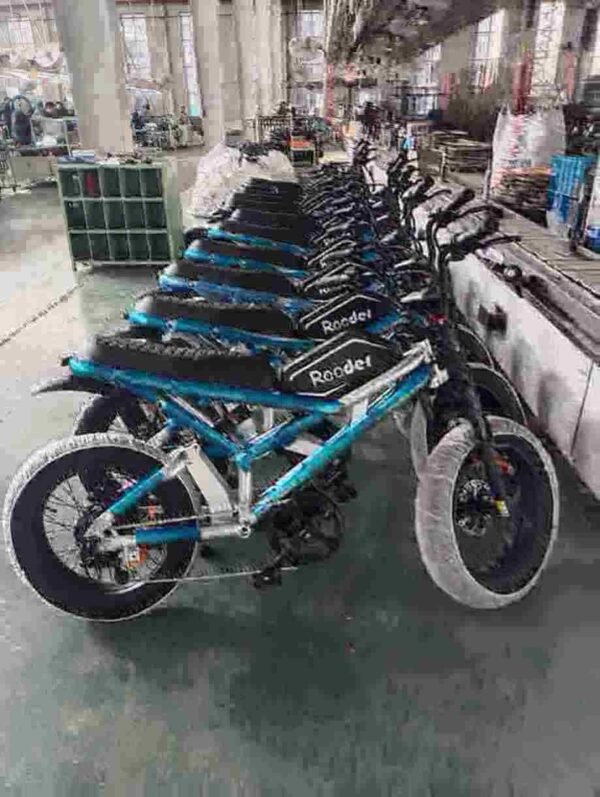 48-V-Dirtbike Hersteller