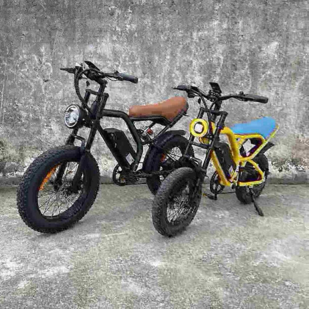 5000W E-Bike Hersteller