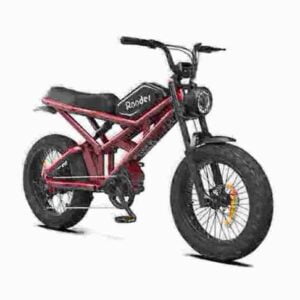 500-W-E-Bike Hersteller