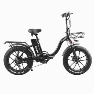 750 Watt elektrisches Fat Tire Bike Hersteller