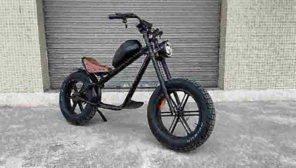 750 Watt Fat Tire Bike Hersteller