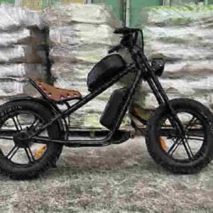 Assassin Elektro-Dirtbike Hersteller