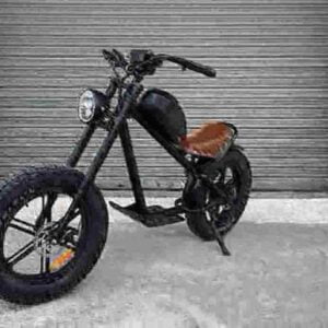 Bestes Dirt E Bike Hersteller