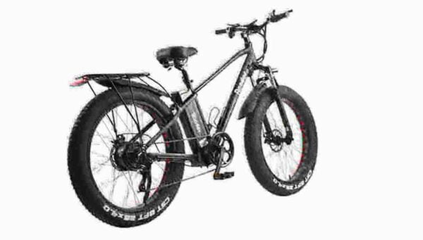 Beste E-Bikes für Frauen Hersteller