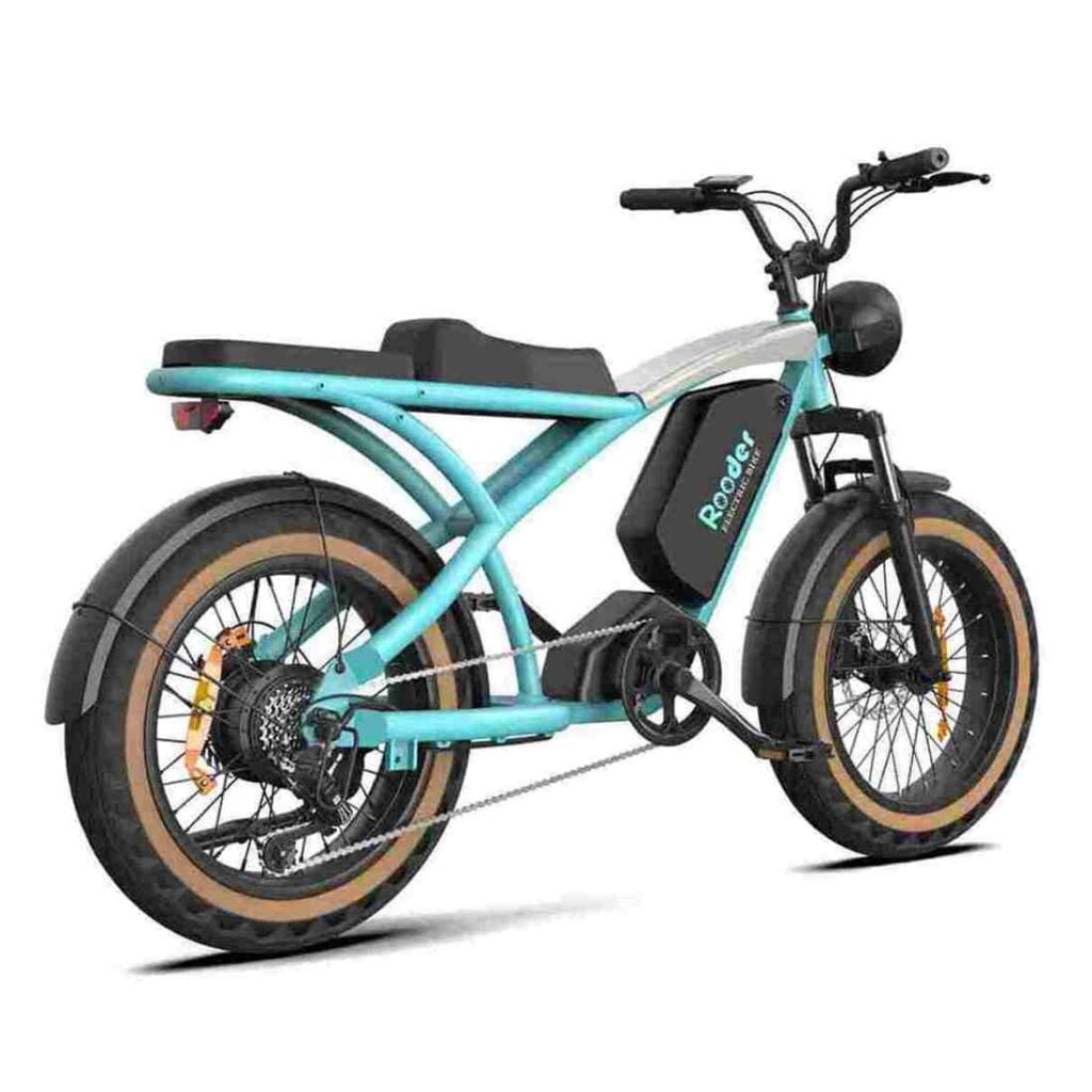 Beste Fat Ebikes Rooder Schweiz