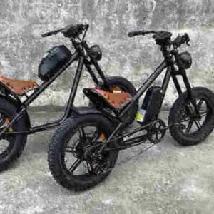 Bestes tragbares Elektrofahrrad Hersteller