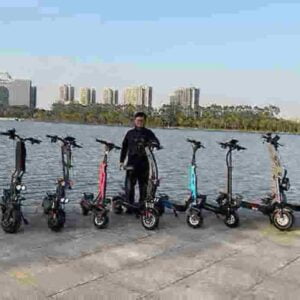 Bester Roller zum Pendeln Hersteller