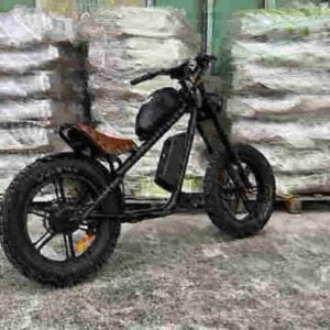 Elektrofahrrad mit bürstenlosem Motor Hersteller