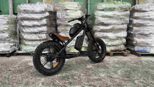 Elektrofahrrad mit bürstenlosem Motor Hersteller