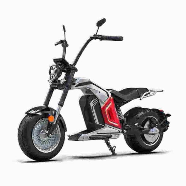 Citycoco 1000w Elektroroller Hersteller