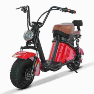 Citycoco 3000 Hersteller