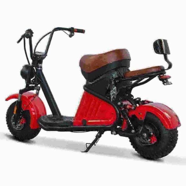 Citycoco Golfscooter Hersteller