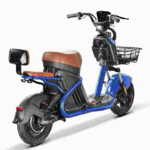 Citycoco M5 Hersteller