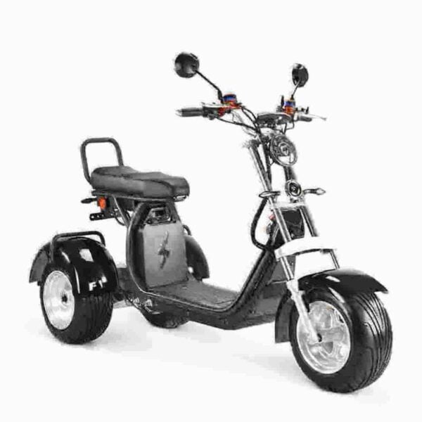 Citycoco S1 Sport 2000w Hersteller