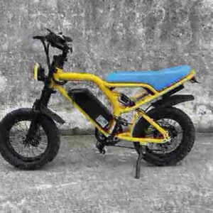 Pendler-E-Bike Hersteller