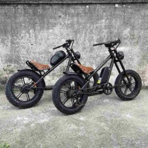Maßgeschneiderte E-Bikes Hersteller