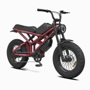 Dirt E-Bike Hersteller