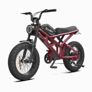 E-Bike-Fahrt Hersteller