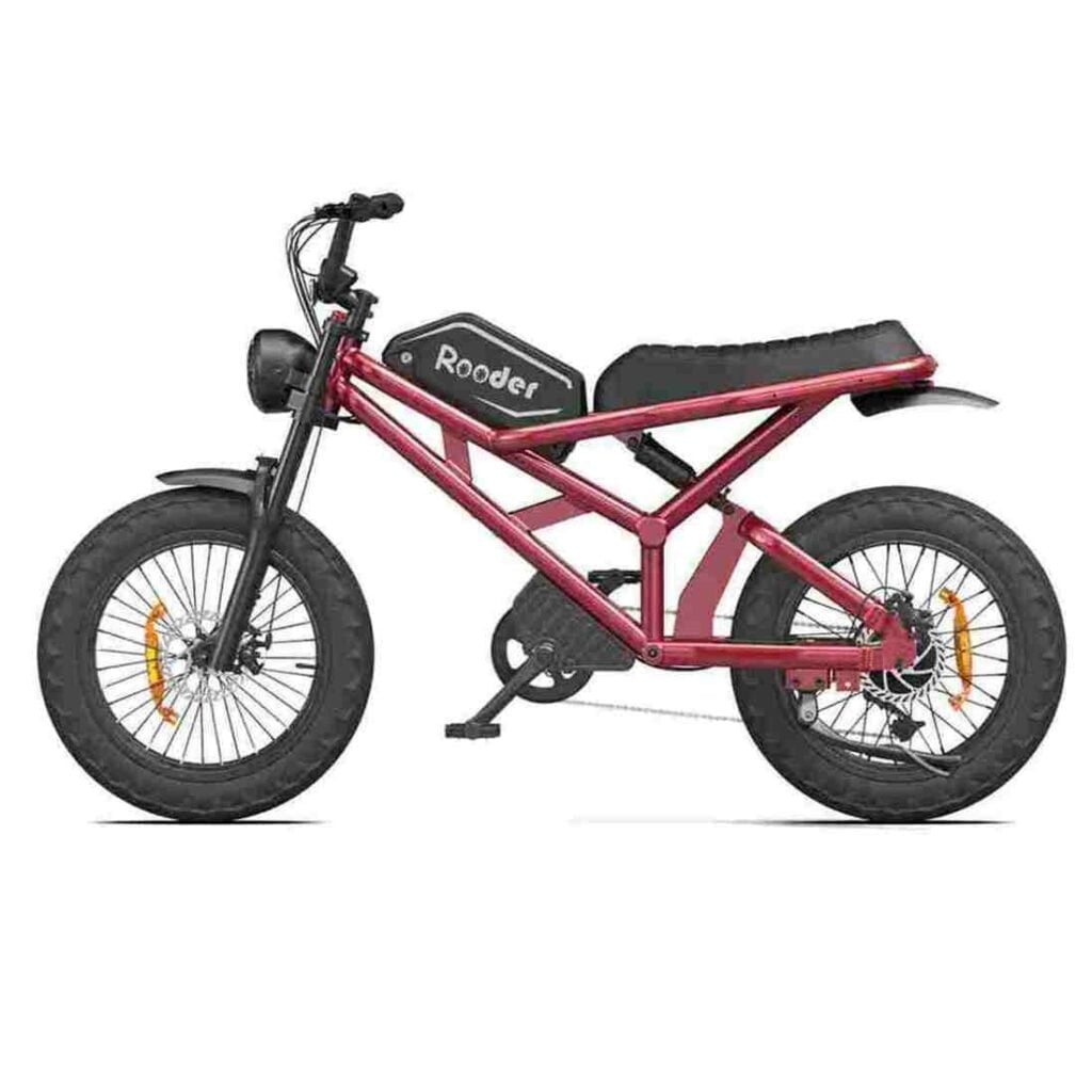 E-Bike Rooder Schweiz