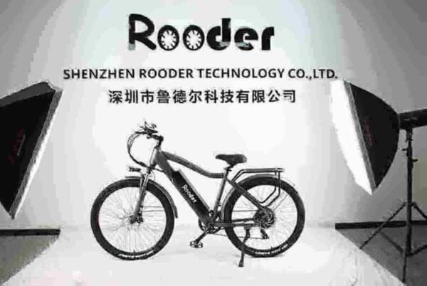 E-Bike 1000w Hersteller