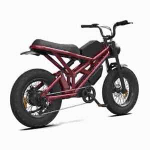 E-Bike 750w Hersteller