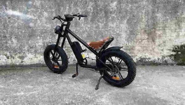 E-Bike-Zyklus Hersteller