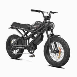 E-Bike Fatbike Hersteller