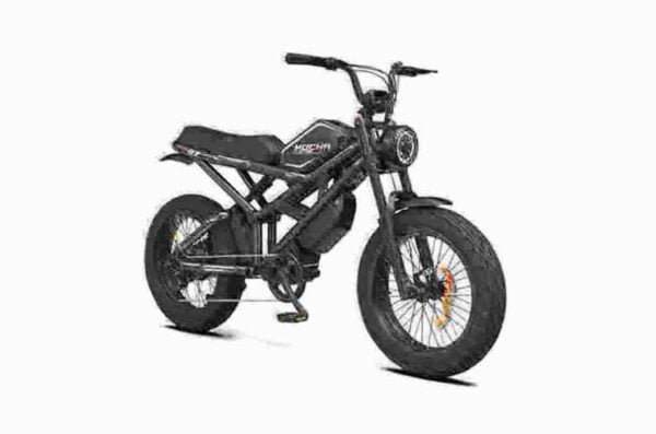 E-Bike Fatbike Hersteller