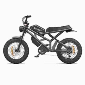 E-Bike für schwere Männer Hersteller