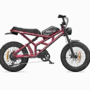 E-Bike-Winterreifen Hersteller
