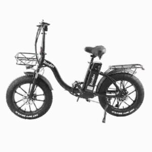 Elektrisches Strandfahrrad Hersteller