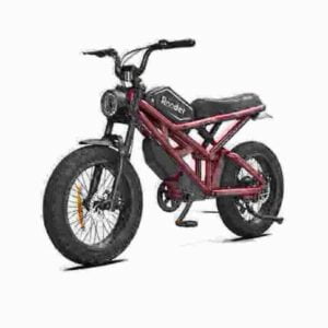Elektrofahrräder E-Bikes Hersteller