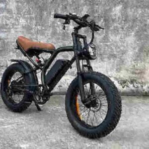 Elektrofahrrad faltbar Hersteller