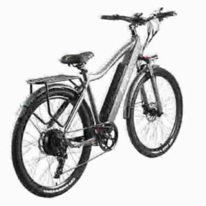 Elektrofahrrad zu verkaufen Hersteller