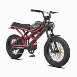 Elektrofahrrad Frankreich Hersteller