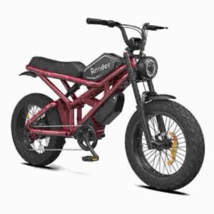 Elektrofahrrad mit breiten Reifen Hersteller