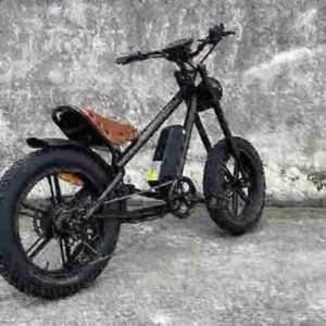 Elektrisches Citybike Hersteller