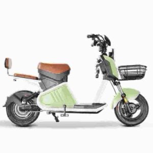 Elektrisches Citycoco Hersteller