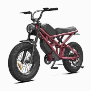 Elektrisches Dirtbike USA Hersteller