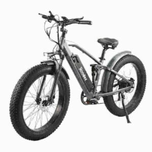 Preis für elektrische Fatbikes Hersteller