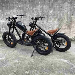 Elektrisches Fat Tire Bike Hersteller