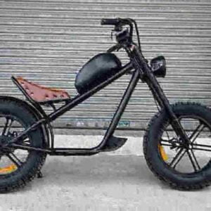 Elektrische Fat Tire Bikes für Erwachsene Hersteller