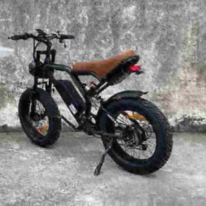 Elektrisches Fat Tire E-Bike Hersteller