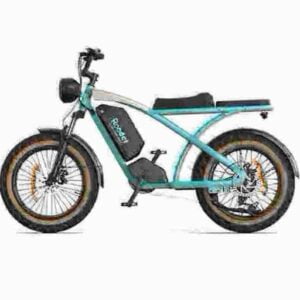 Elektrisches Moped-Fahrrad Hersteller